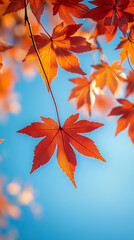 A serene autumn scene featuring vibrant red and orange maple leaves gently falling from the trees, illuminated by soft, warm sunlight filtering through a clear blue sky. 