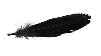 Elegant Black Feather Close-Up Showcasing Soft Texture and Natural Craftsmanship
