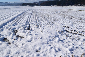 Obraz premium 雪国の田園風景 山形県庄内