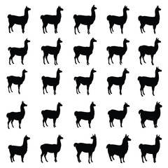 llama vector silhouette.Rough illustration of a Llama silhouette with a river view.Llama silhouettes set, animal pack of vector silhouette design, isolated background