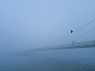 Mülheimer Brücke die halb im Nebel verschwindet an einem frostigen morgen. Mülheim Bridge half disappearing in the fog on a frosty morning.