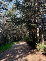 Walking pas in the city park