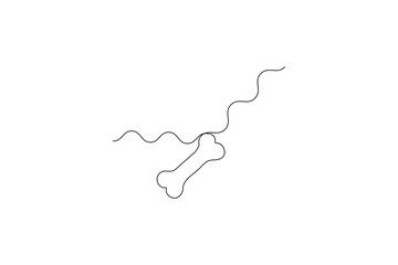 Continuous line drawing of Line art of dog bone