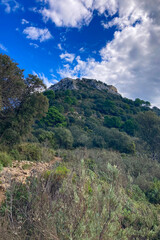 Hiking trail in the autumn forest, National park of Sierra de Las Nieves, Spain