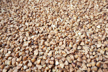 raw buckwheat groats . brown background