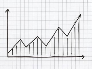 Obraz premium Minimalist Hand-Drawn Doodle Graph Chart Line Art - Simple Black PNG Clipart