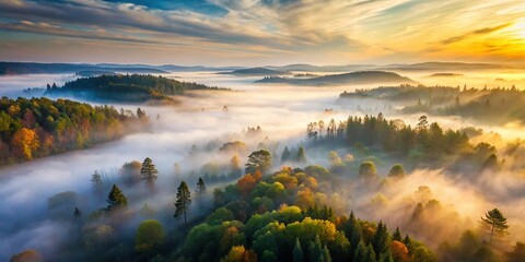 Obraz premium Misty Morning Countryside Forest Aerial Drone Shot - Minimalist Photography