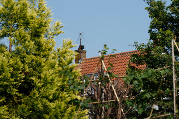 Fototapeta premium Lush greenery frames a quaint house with a traditional roof under a clear blue sky in a serene residential area