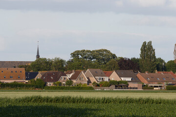 Charming residential homes along the green fields of Zevenbergen under a clear sky