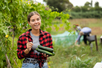 European woman is holding ripe marrow squash zucchini in hands. She has grown large crop in garden,...