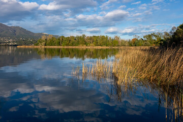 reflections on Lake Varese on a sunny day