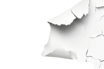 White Paint Peeling from Surface with Cracks, Decay Theme