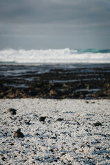 Fuerteventura, île Canarie