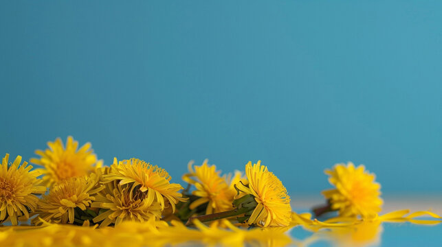 yellow flowers on blue sky background