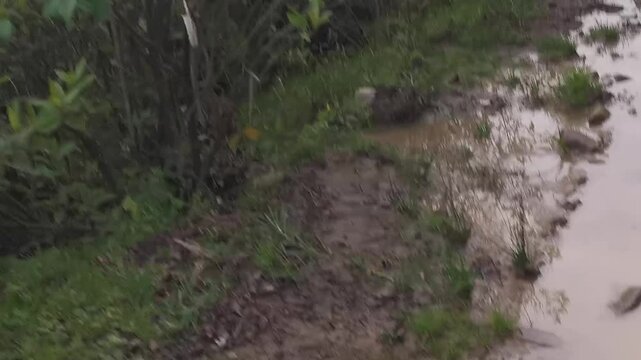 Charco de agua