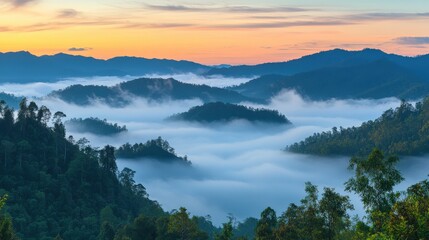 Serene sunrise over misty mountains, showcasing lush greenery and tranquil valleys at dawn