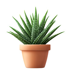 Fototapeta premium Aloe Vera Plant in Pot, Fresh and Green, Natural Healing Herb, Isolated on Transparent Background