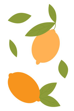 Fresh lemons with green leaves in minimalist vector style. Modern citrus fruit illustration on white background. Clean, simple design for food packaging, kitchen decor, and summer themes, juice labels