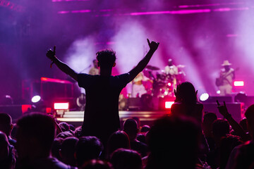 Energetic fans reveling in a live concert experience