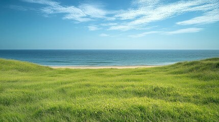 Obraz premium Grassy dunes overlooking sandy beach and calm ocean under blue sky