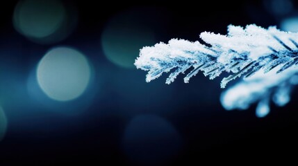 Trees covered by heavy snow in winter forest