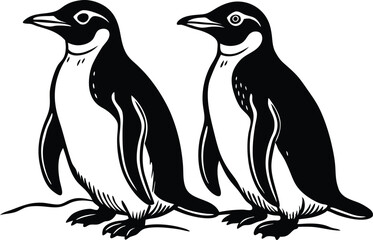 Beautiful Gentoo penguin, Falkland Islands vector art illustration