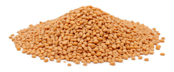Fototapeta premium Seeds pile in a natural setting with a neutral mood representing nourishment against a plain background
