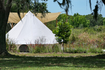 Glamping tent in the woods