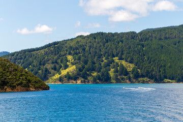 A peaceful view of boats gliding through the calm waters surrounded by lush mountains in Marlborough Sounds, New Zealand