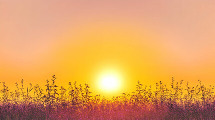 Purple wildflowers sway gently in a field beneath a vibrant golden sunset sky, creating a serene landscape.