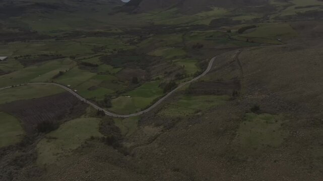 Aerial video of Espeletia Frailejones plants in a field with hills in the background. Ecuador