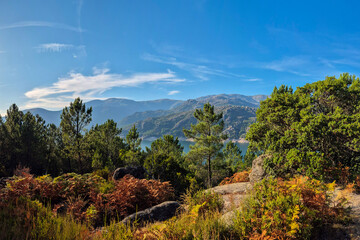 A breathtaking view of Vilarinho das Furnas Reservoir in Peneda-Gerês National Park, Portugal. Surrounded by lush green forests and mountains, this pristine lake is a paradise for nature lovers.