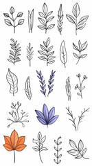 Collection of Hand-Drawn Leaves and Branches Creates a Natural and Botanical Illustration