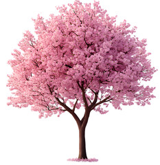 Springtime Cherry Blossom Tree, Elegant Pink Sakura Flowers, Nature Scene, Isolated on Transparent Background