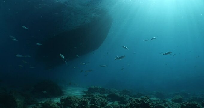  underwater under the boat fish around slow relaxing ocean scenery 