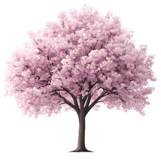 Obraz premium Springtime Cherry Blossom Tree, Elegant Pink Sakura Flowers, Nature Scene, Isolated on Transparent Background