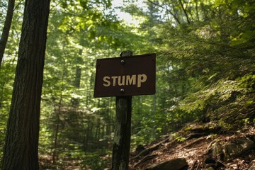 Woodland Path with Mysterious "Stump" Sign Surrounded by Lush Trees and Dappled Sunlight in a Serene Forest Environment
