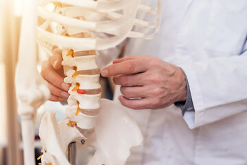 Close up. Doctor in white gown is showing vertebrae on skeleton.