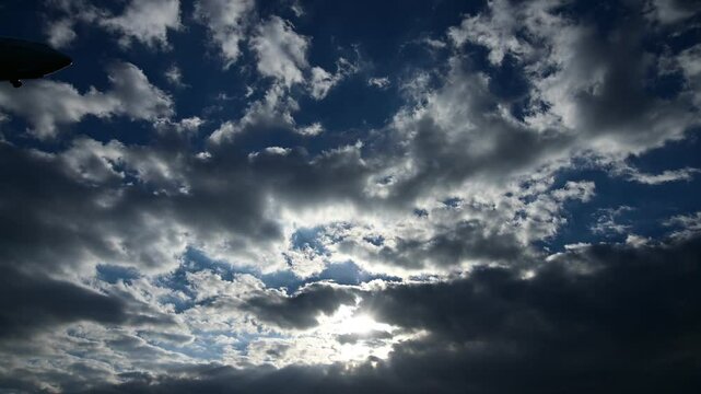夏の朝の八幡堀（2023年6月, 滋賀県近江八幡市）