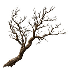 Obraz premium Dead Tree Branch, Dry and Leafless Isolated on Transparent Background