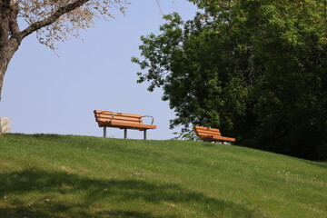 sunny benches with a view from atop a grassy hill under clear blue sky in summer