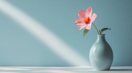 Single Pink Flower in Blue Vase on Light Background