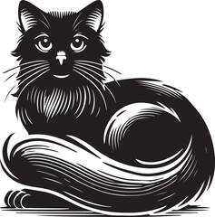 black cat on white background