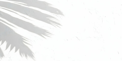 Abstract Shadow of Tropical Plant Leaves on White Textured Background Creates Minimalist Design