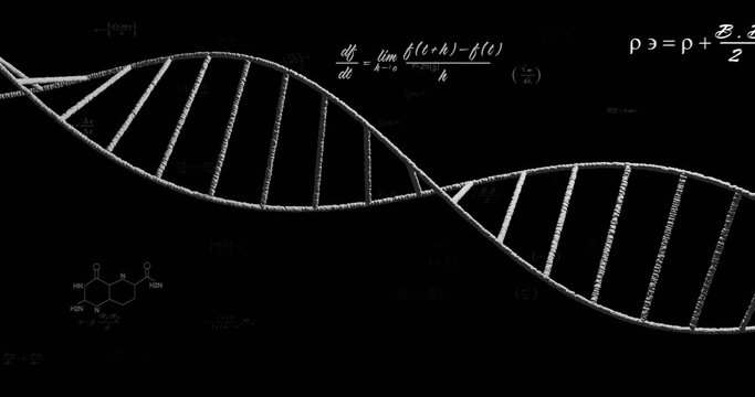 Image of dna strand over mathematical equations - Powered by Adobe