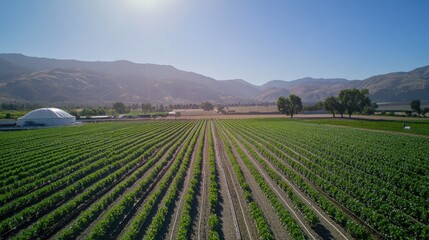 Drone view of a sunny day over a farm, showcasing advanced irrigation systems at work in a pattern.