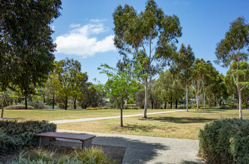 A peaceful walking path winds through an Australian public park, featuring tall eucalyptus trees...