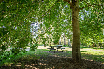 A wooden picnic table sits under a shaded tree, creating a peaceful resting area in a public park....