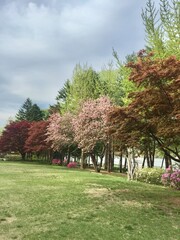 Spring