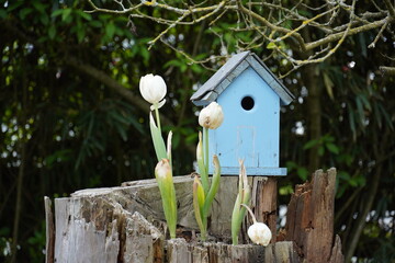 Birdhouse